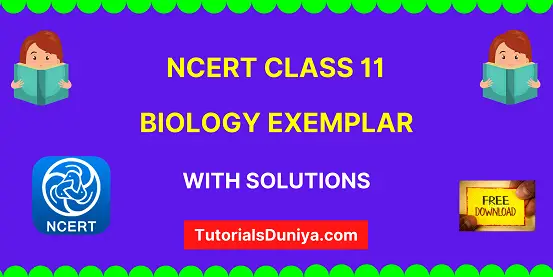 NCERT Exemplar Class 11 Biology with solutions book pdf